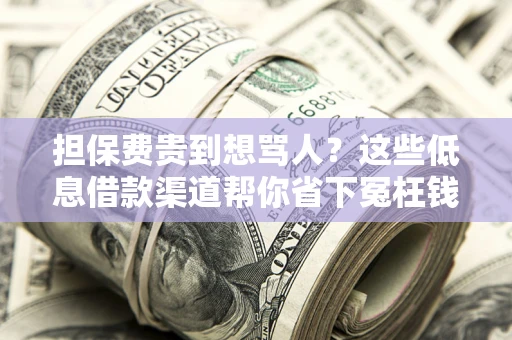 济南担保费贵到想骂人？这些低息借款渠道帮你省下冤枉钱